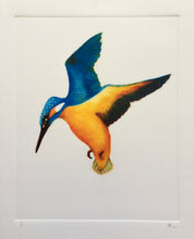 Load image into Gallery viewer, Flying King fisher
