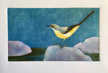 Load image into Gallery viewer, Grey Wagtail
