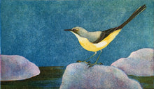 Load image into Gallery viewer, Grey Wagtail
