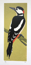 Load image into Gallery viewer, Greater Spotted Woodie

