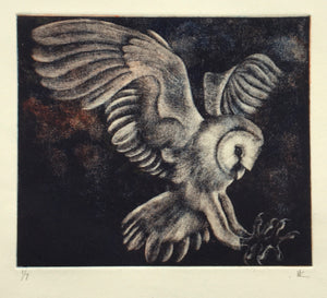 Barn Owl III