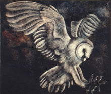 Load image into Gallery viewer, Barn Owl III
