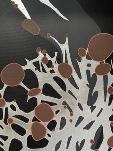 Hypogymnia Physodes : Puffed Shield Lichen