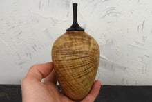 Load image into Gallery viewer, Rippled oak and ebony lidded vessel
