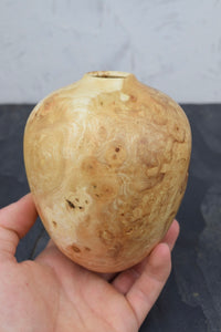 Burr ash hollow form