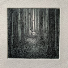 Load image into Gallery viewer, A forest
