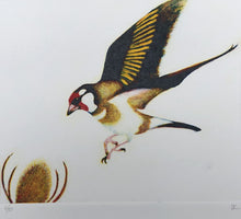 Load image into Gallery viewer, Goldfinch monoprint
