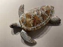 Load image into Gallery viewer, Turtle
