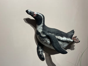 Swimming Penguin ll
