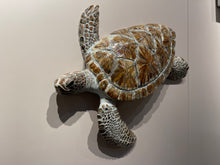 Load image into Gallery viewer, Turtle
