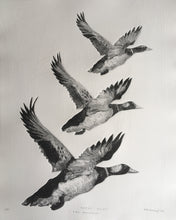 Load image into Gallery viewer, Tair Hwyaden : Three Ducks
