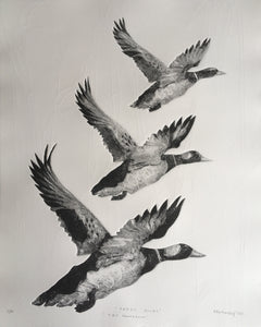 Tair Hwyaden : Three Ducks